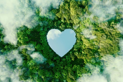 Stewardship success